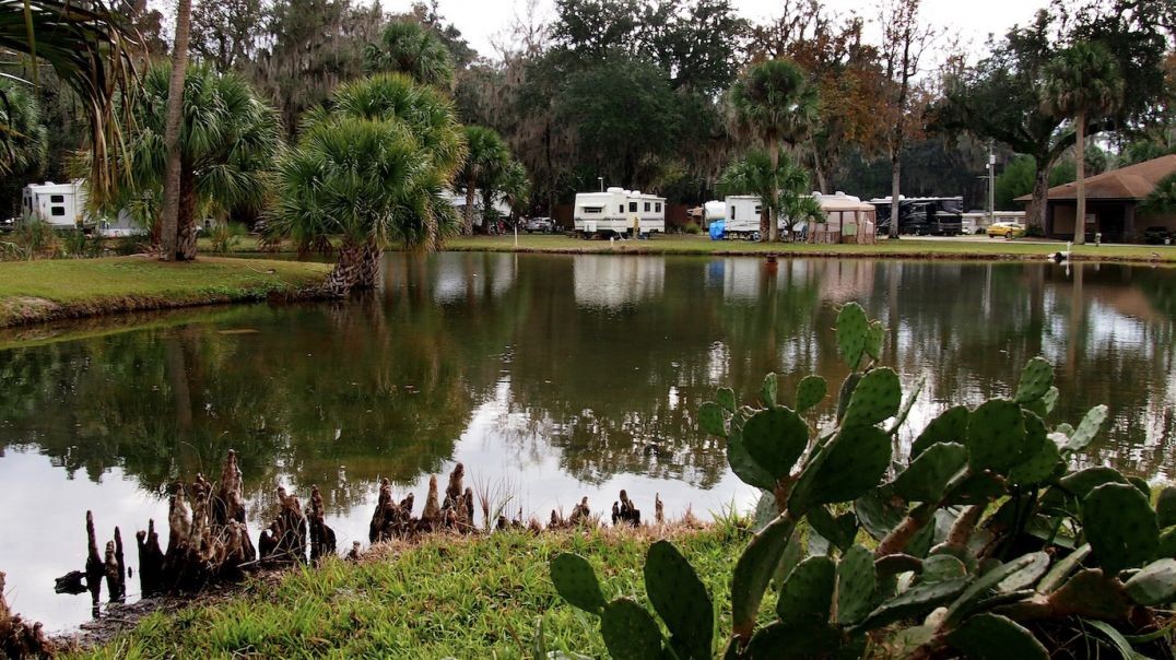 ⁣Northshore Landing RV Resort in Greensboro, GA