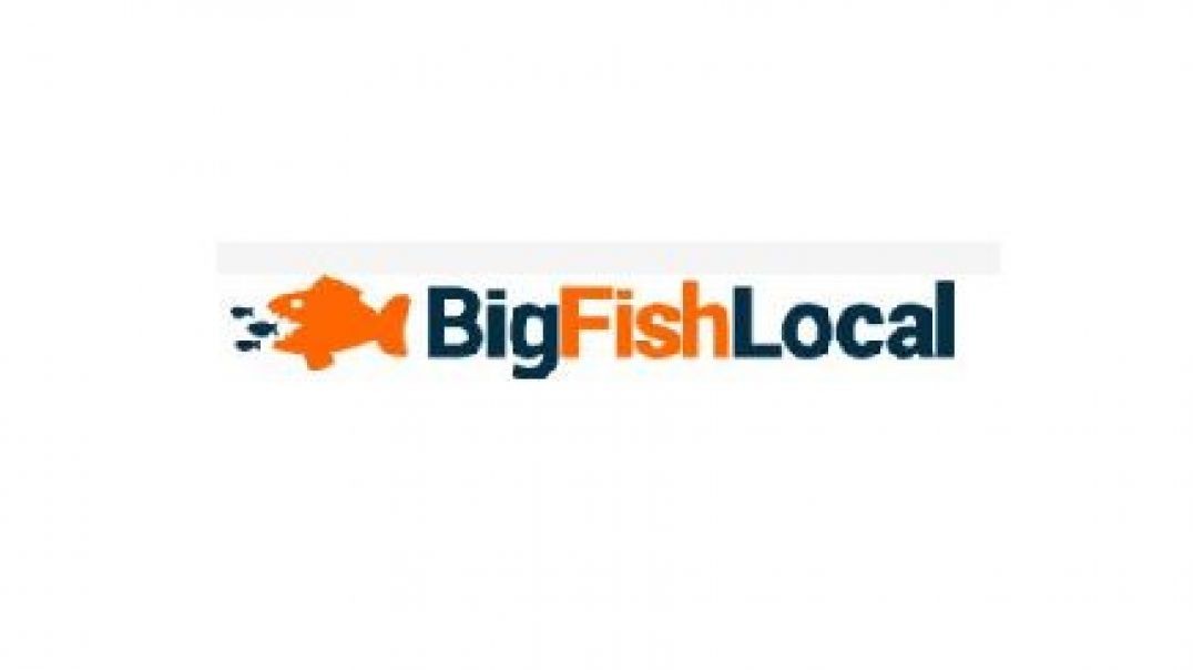 ⁣Big Fish Local | Digital Marketing Agency in Springfield, OH