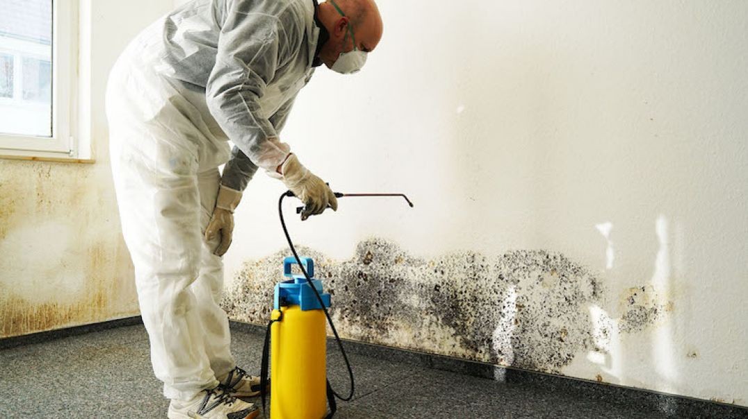 ⁣Air Clean Environmental Inc | Best Mold Specialist in Los Angeles, CA