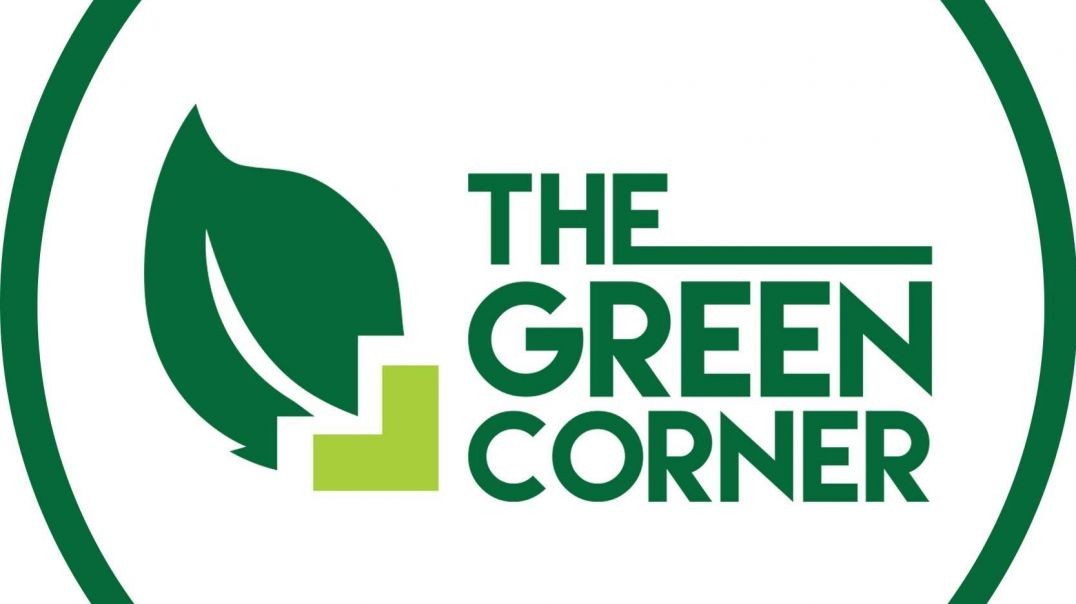 ⁣Online Leading Plant Shop for Plant Delivery in Singapore - The Green Corner