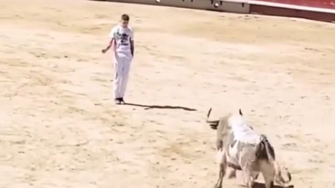 ⁣The art of bullfighting!