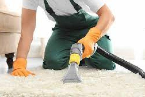 The Defensive Role of Professional Carpet Cleaning Services