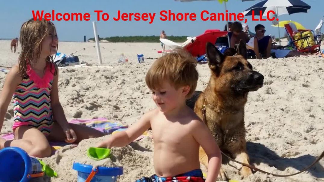 ⁣Jersey Shore Canine, LLC. - Best Dog Trainer in Jersey Shore, NJ