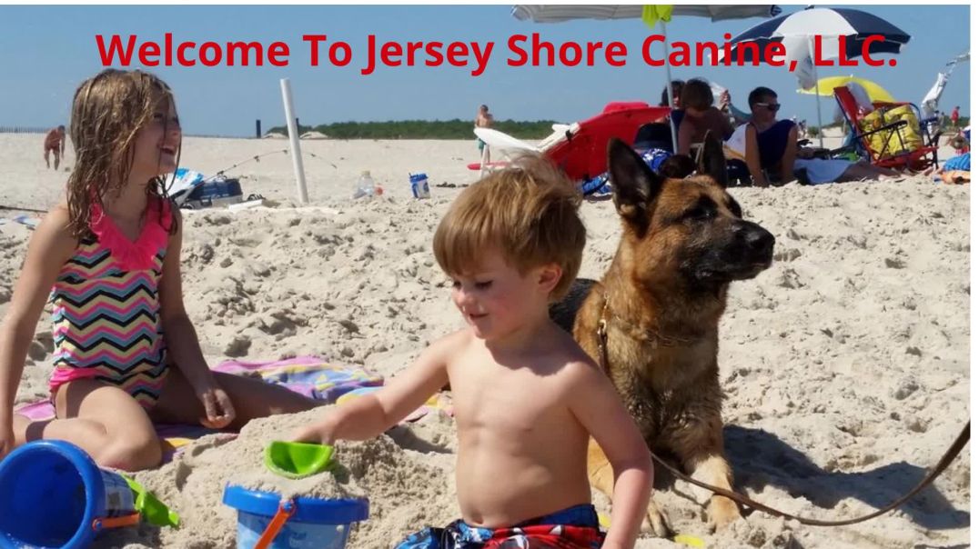 Jersey Shore Canine, LLC. - Professional Dog Training in Jersey Shore