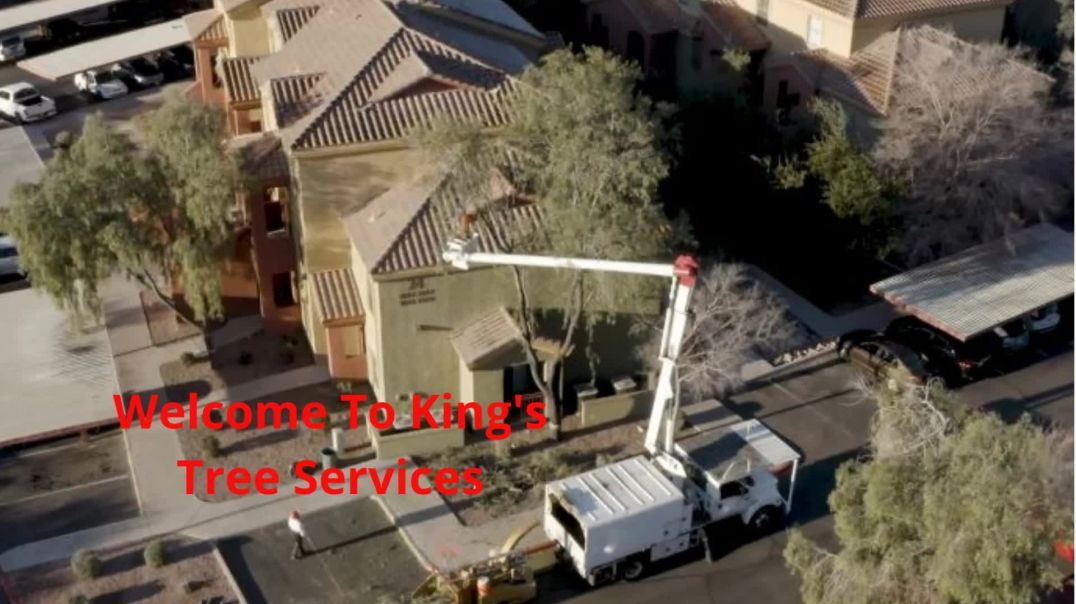 King's Tree Services in Scottsdale, AZ