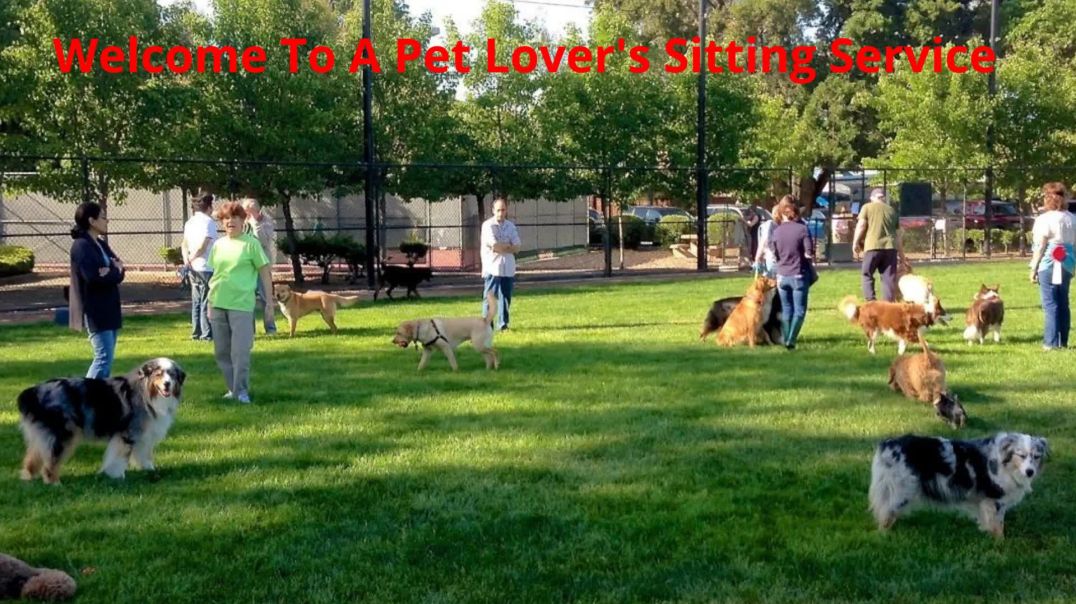 ⁣A Pet Lover's Sitting Service - #1 Dog Daycare in Katy, TX