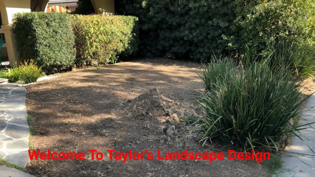 ⁣Taylor's Landscape Design in Westlake Village, CA