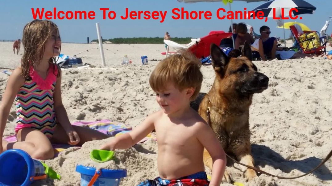 ⁣Jersey Shore Canine, LLC. - Dog Protection Training in Jersey Shore, NJ