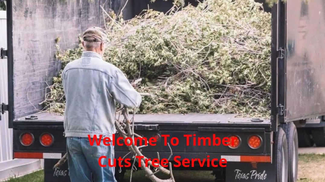 Timber Cuts Tree Service : Tree Cutting Services in Kaysville, UT | (801) 335-9650