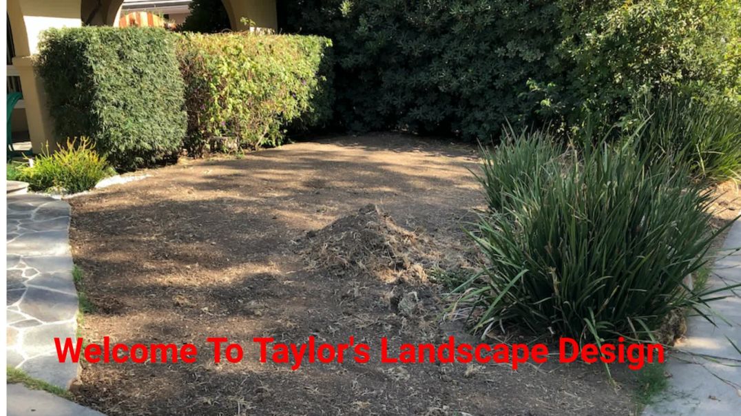 ⁣Taylor's Landscape Design in Agoura Hills, CA