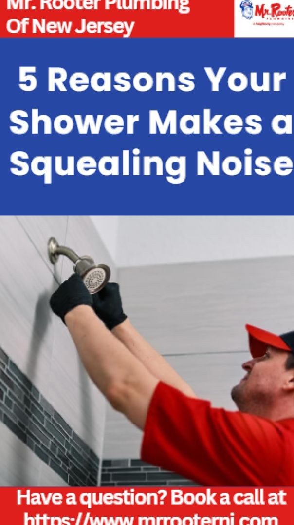 5 Reasons Your Shower Makes a Squealing Noise