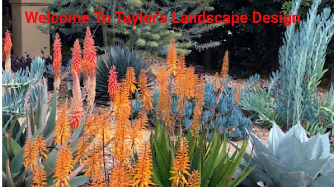 ⁣Taylor's Landscape Design in Thousand Oaks, CA