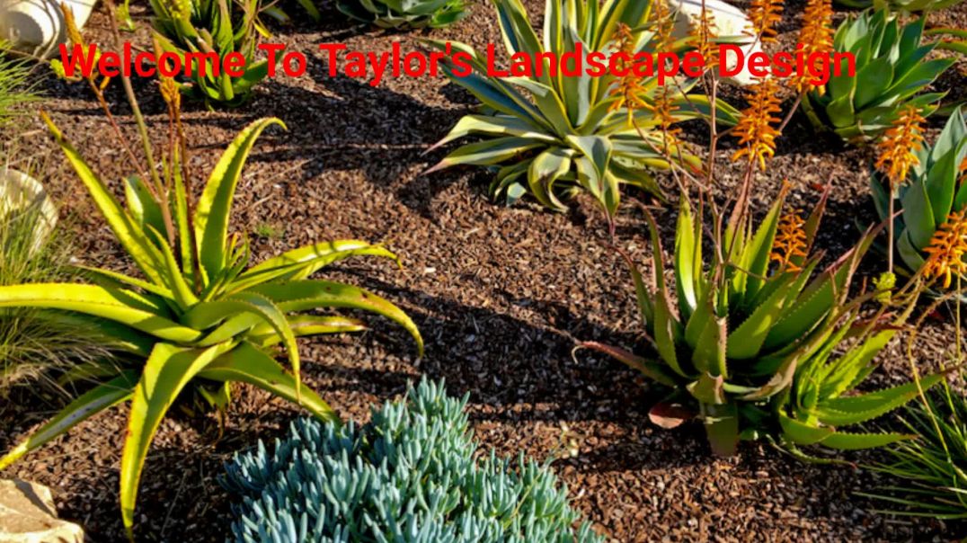 ⁣Taylor's Landscape Design in Conejo Valley, CA