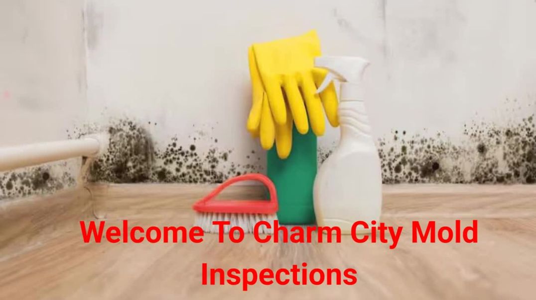 ⁣Charm City Mold Inspections in Baltimore, MD