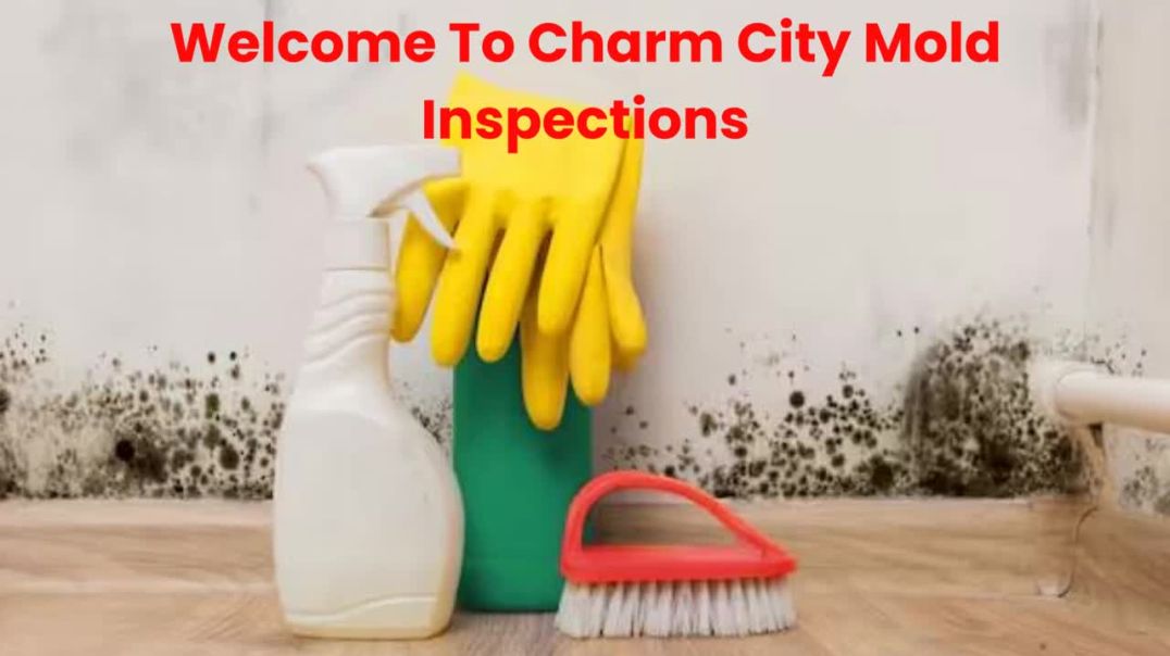 ⁣Charm City Mold Inspections : Mold Testing in Baltimore, MD