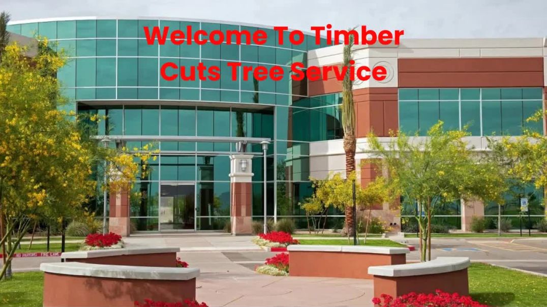 ⁣Timber Cuts Tree Service : #1 Tree Trimming in Kaysville, UT | (801) 335-9650