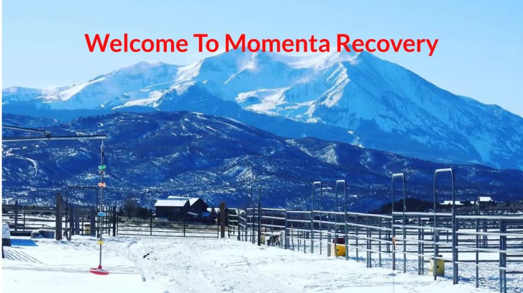 ⁣Momenta Recovery : #1 Rehab Centers in  Glenwood Springs , Colorado | (970) 930-6355