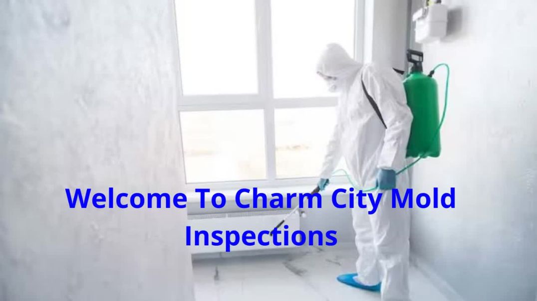 ⁣Charm City Mold Inspection in Baltimore, MD | 21215