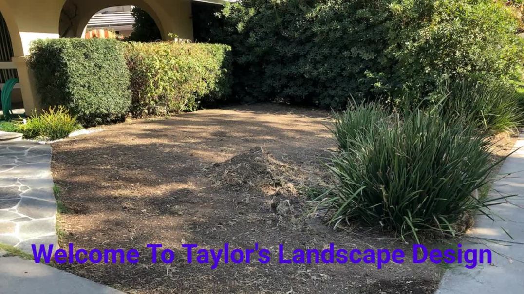 Taylor's Landscape Design in Calabasas, CA