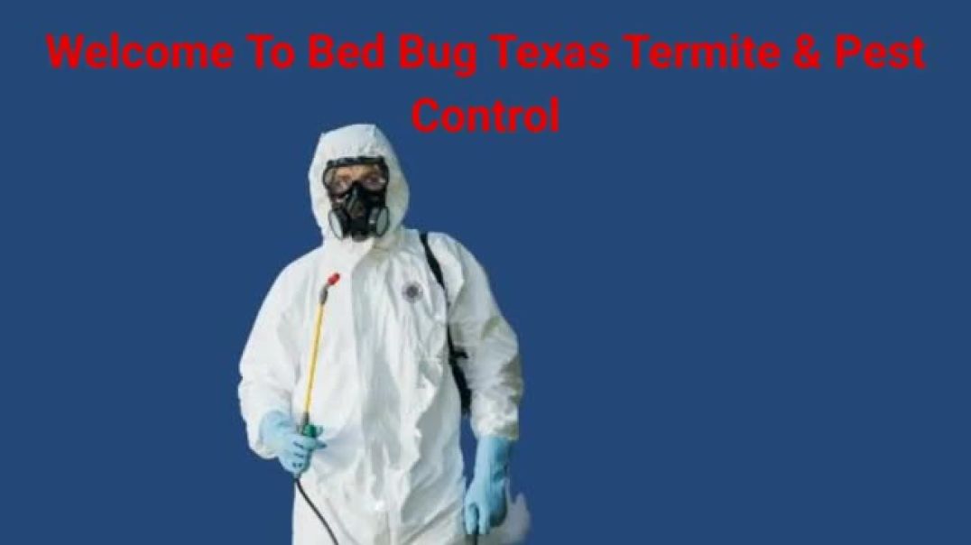 ⁣Bed Bug Termite & Pest Control in Katy, TX