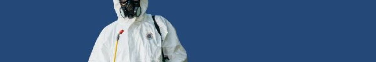 Bed Bug Texas Termite & Pest Control