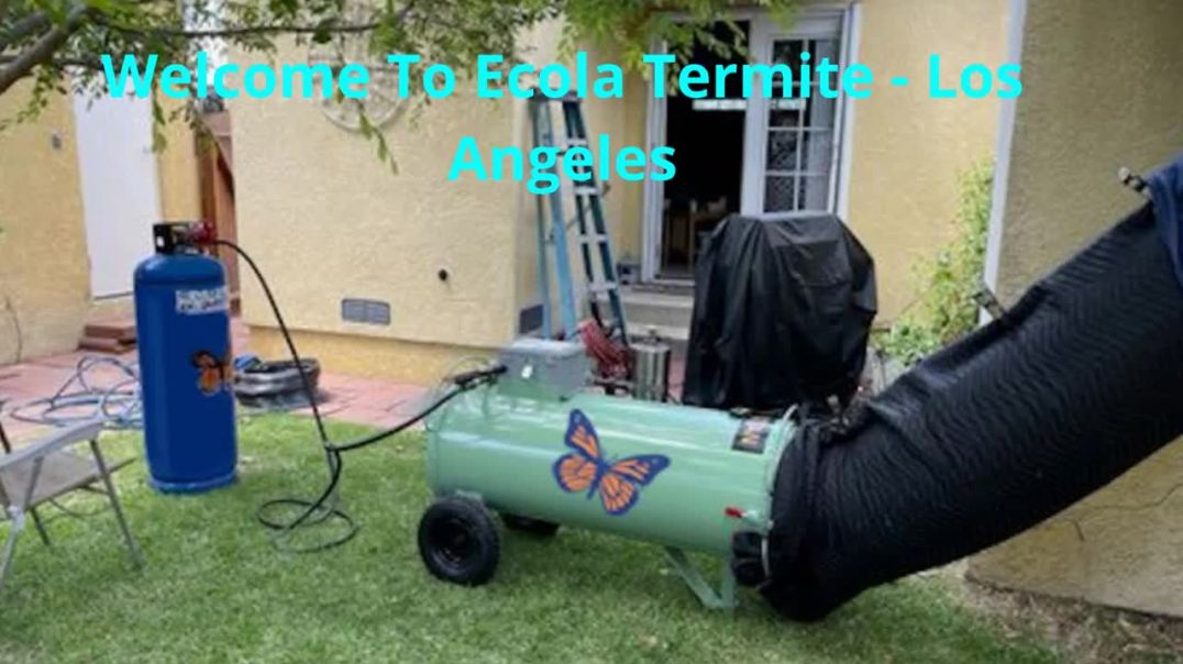 ⁣Ecola Termite - Organic Pest Control in Los Angeles, CA