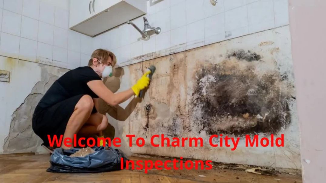 Charm City Mold Inspections - Mold Remediation in Baltimore, MD