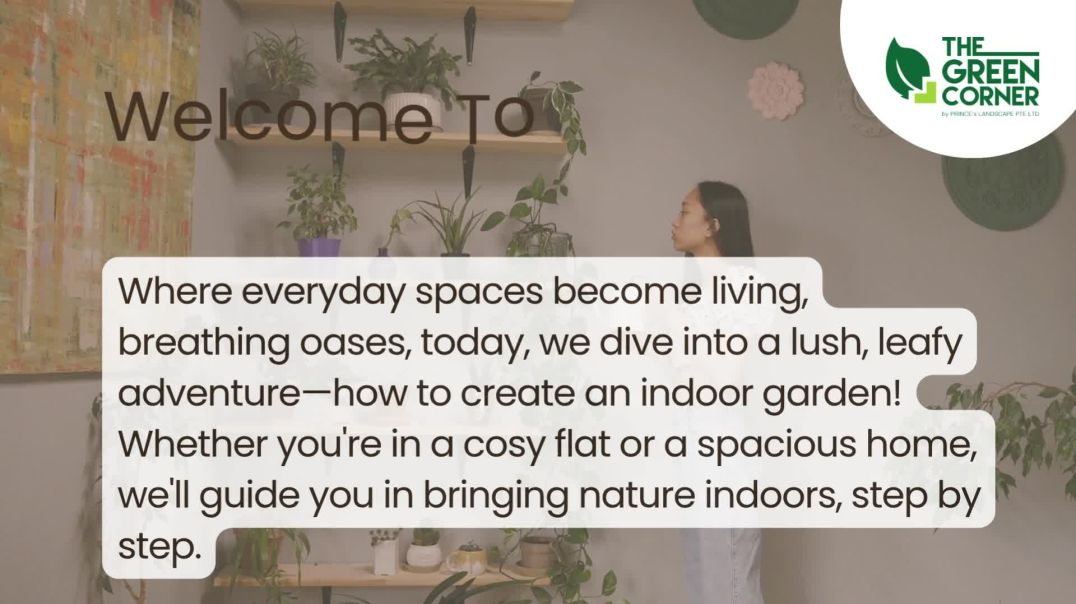 ⁣Your Premier Online Plant Store for Indoor Gardens – The Green Corner