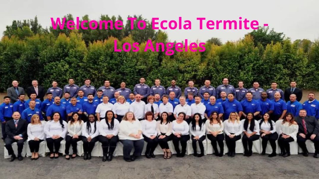 ⁣Ecola Termite - Best Exterminators in Los Angeles, CA