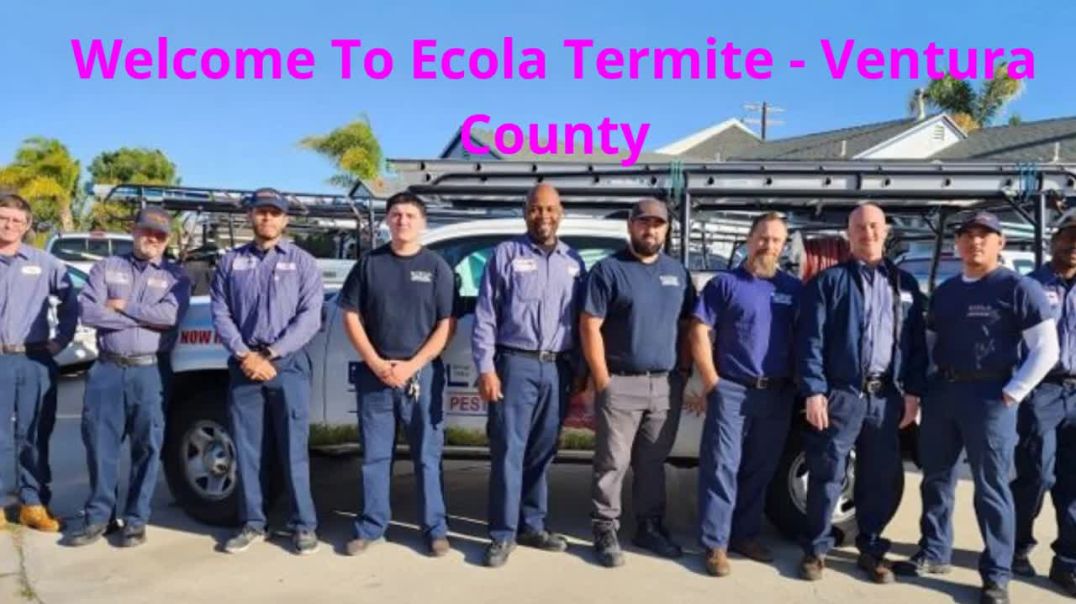⁣Ecola Termite - Pest Control in Ventura, CA