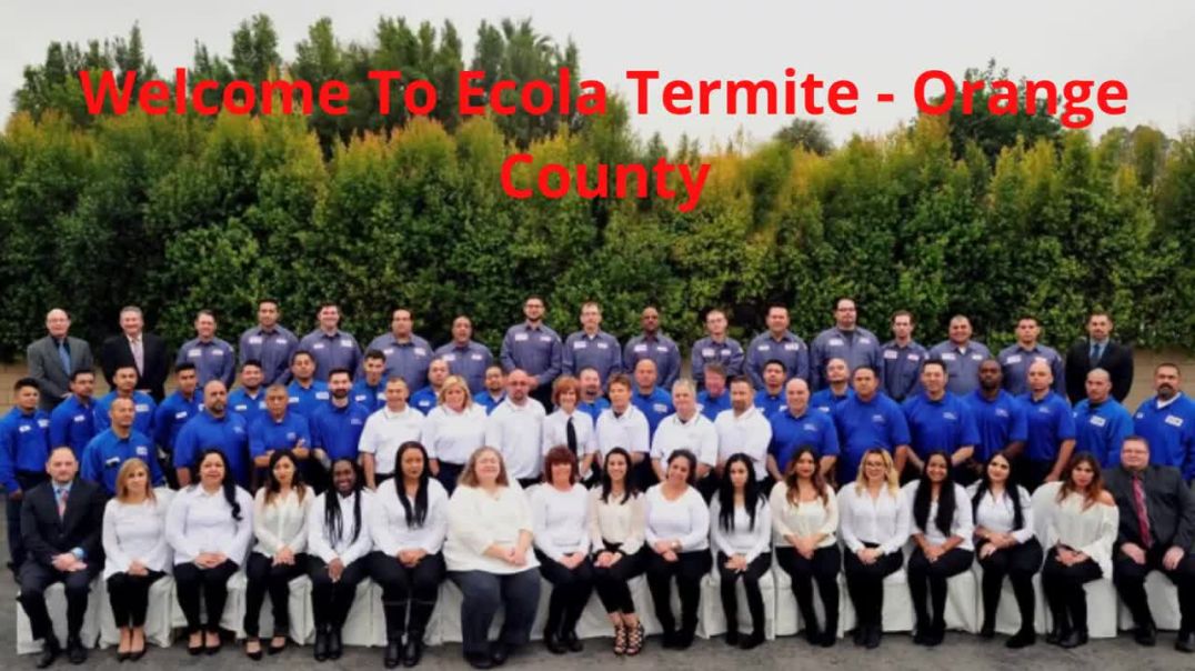 Ecola Termite Inspection in Orange County, CA