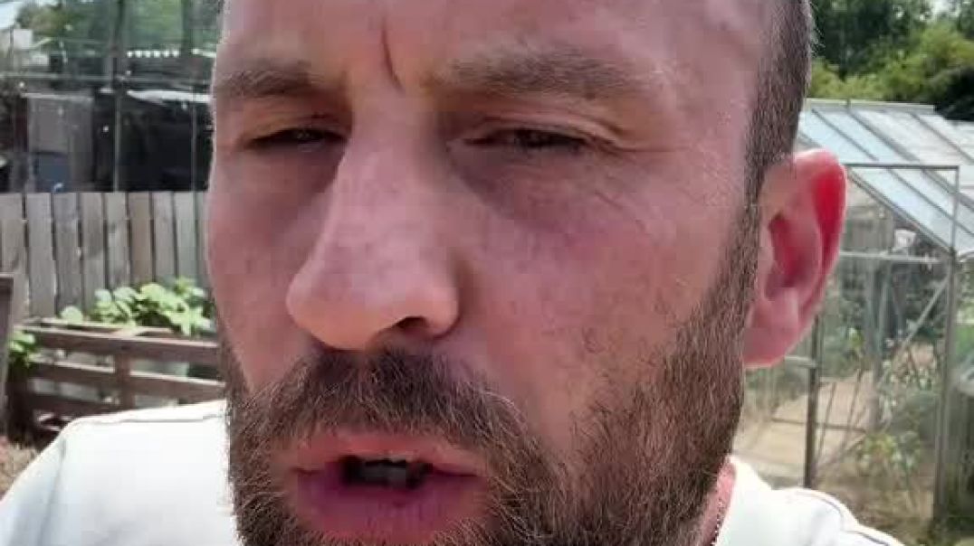"This modern life is a cage"