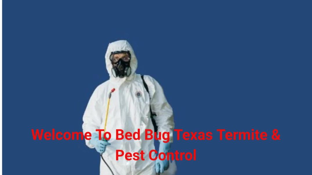 Bed Bug Texas Termite & Pest Control - Bed Bug Removal in Cypress
