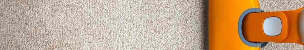 Bayside Carpet Cleaning