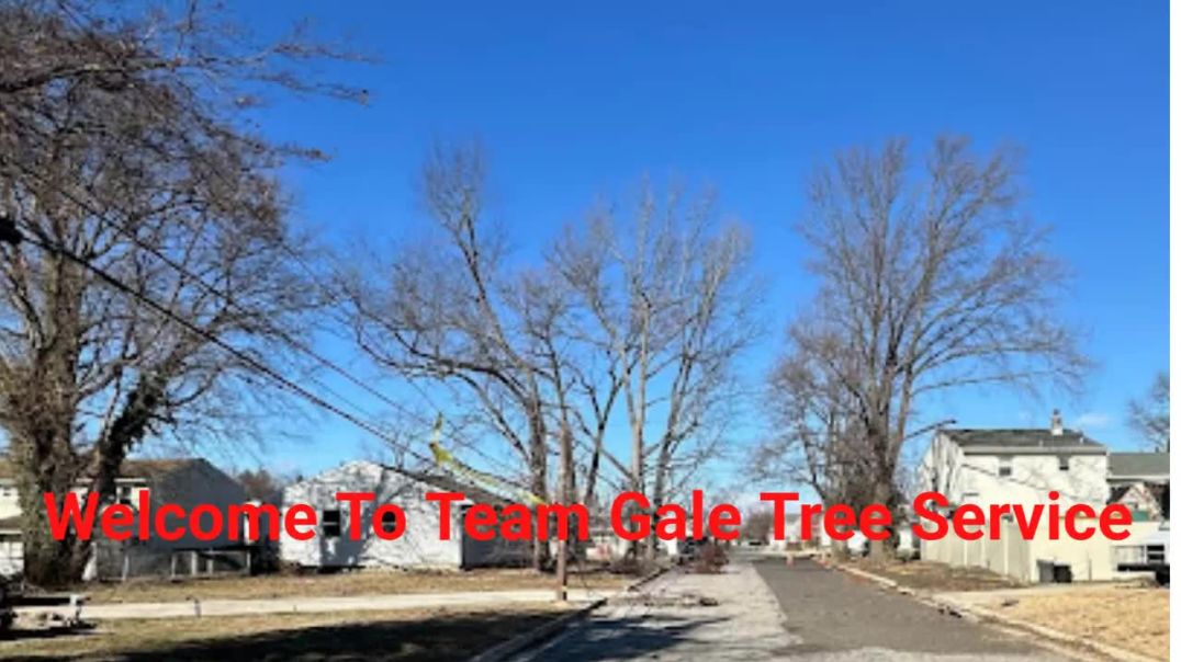 ⁣Team Gale Tree Services in Riverside, NJ