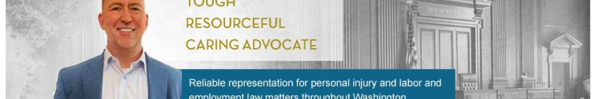 The Schauer Law Offices PLLC