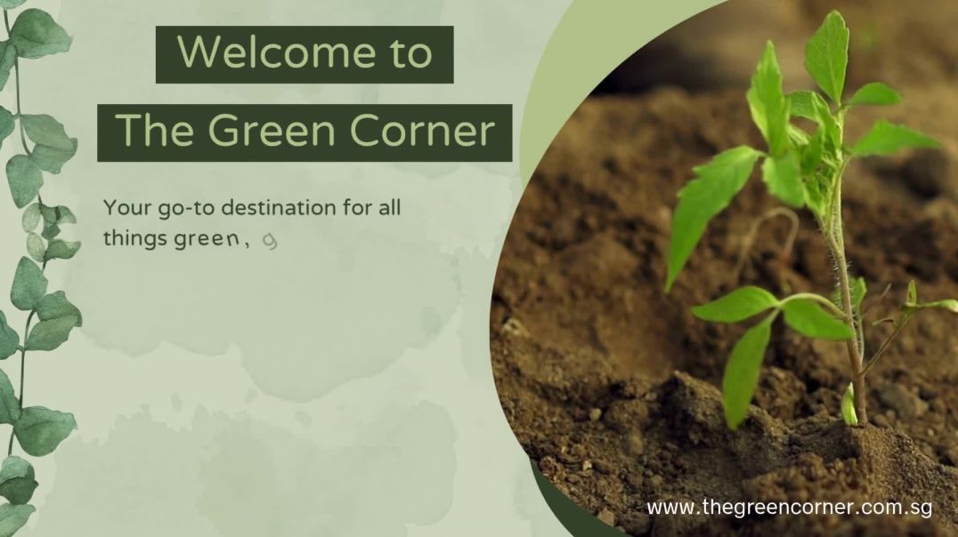 ⁣Shop Potting Soil and Garden Mix Online at The Green Corner