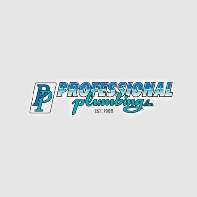 Professional Plumbing Inc. 