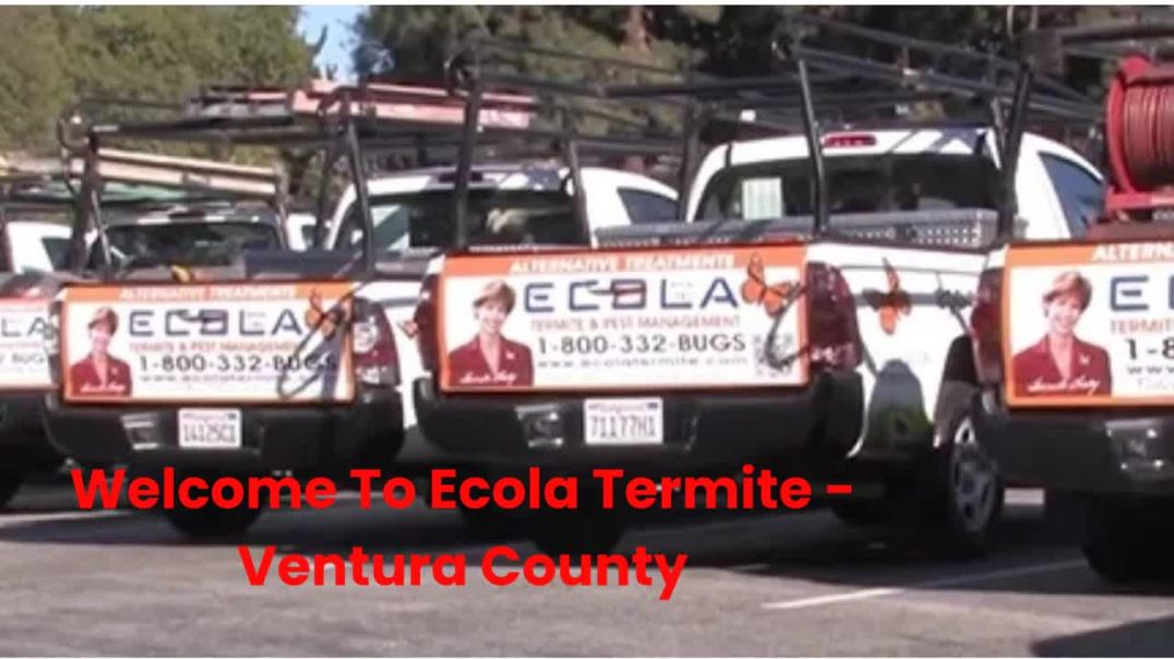 ⁣Ecola Termite -  Best Exterminator in Ventura, CA