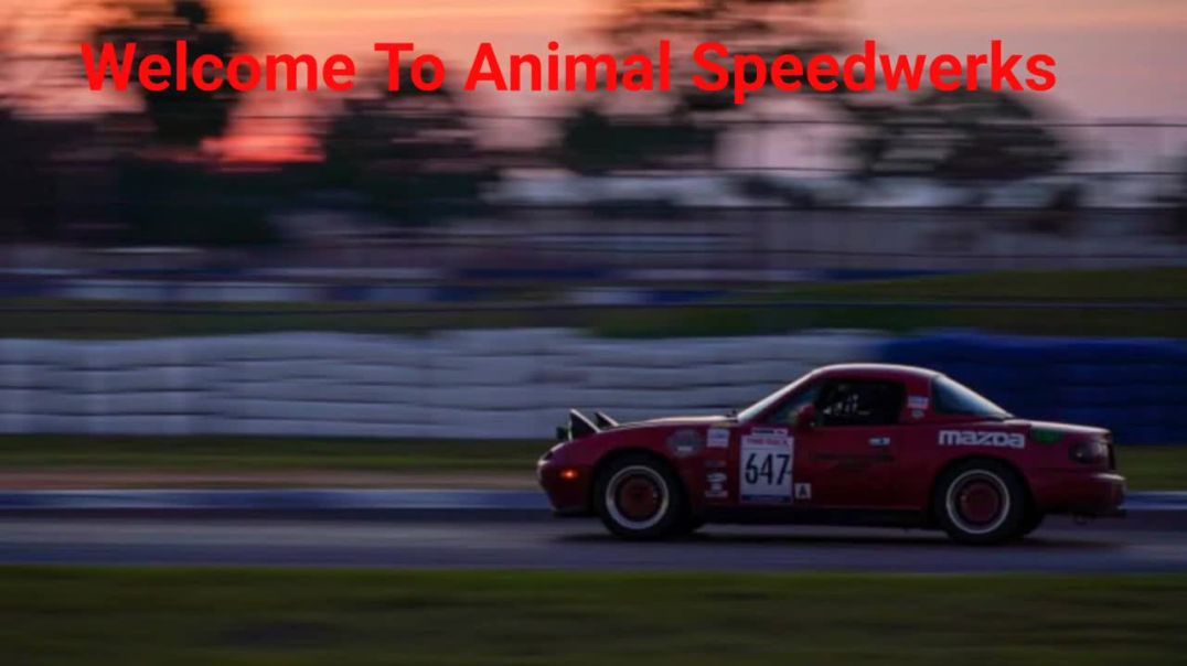 ⁣Animal Speedwerks - #1 Auto Shop in Crossville, TN
