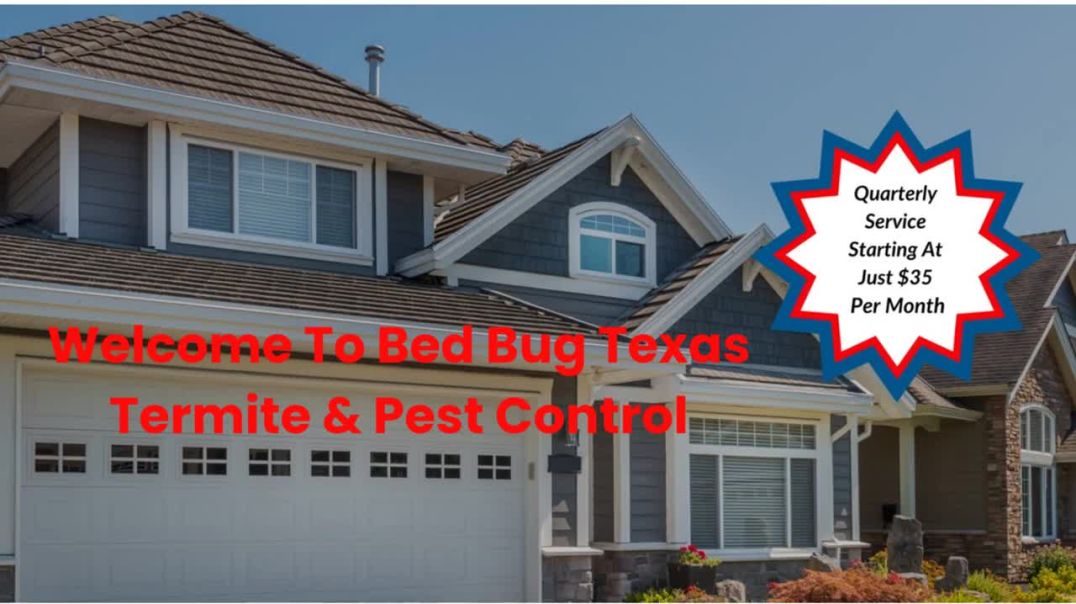 ⁣Bed Bug Texas Termite & Pest Control : Bed Bug Exterminator in Katy, TX