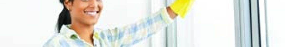 Bee-Dazzled Cleaning Service 