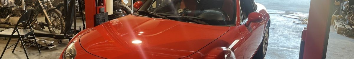Animal Speedwerks