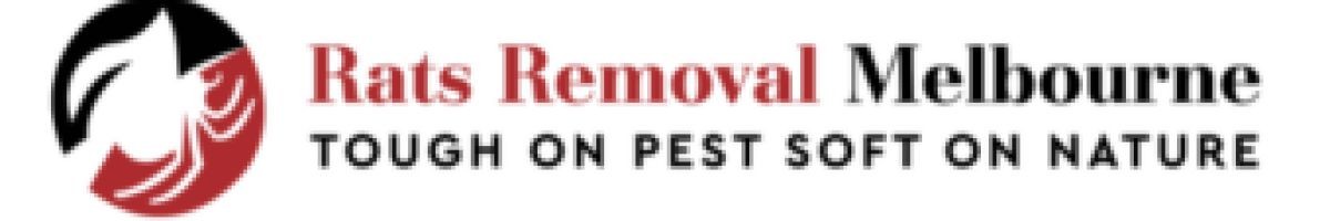 Rats Removal Melbourne