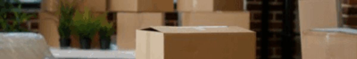 Pioneer Moving and Storage
