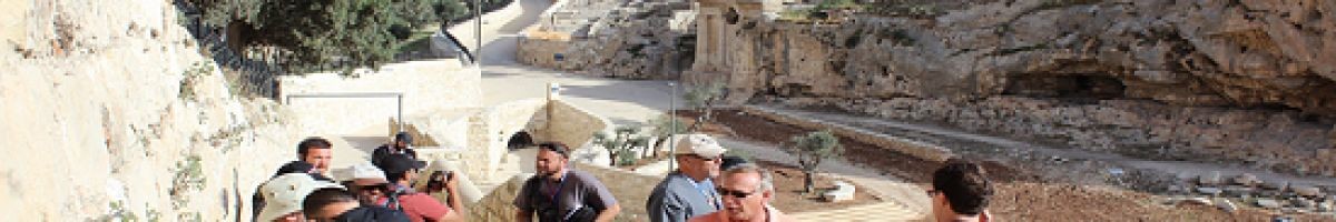 Coral Travel and Tours