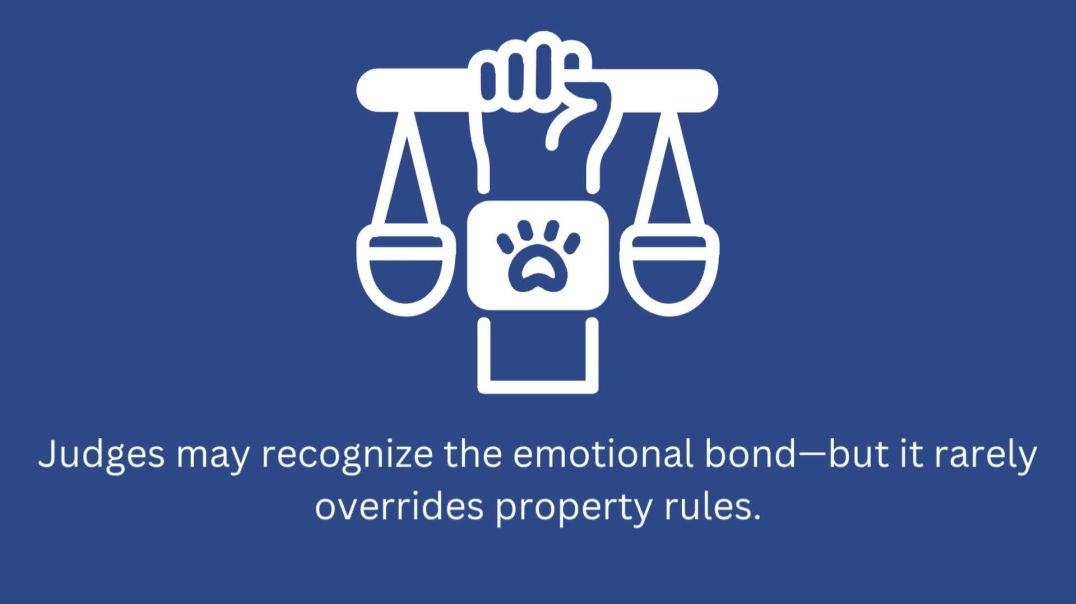 ⁣Legal Status of Pets in Ontario