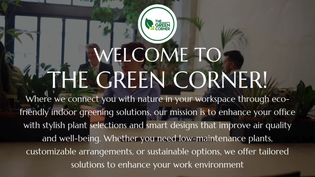 ⁣Revitalise Your Office Space with These Easy-Care Plants – The Green Corner