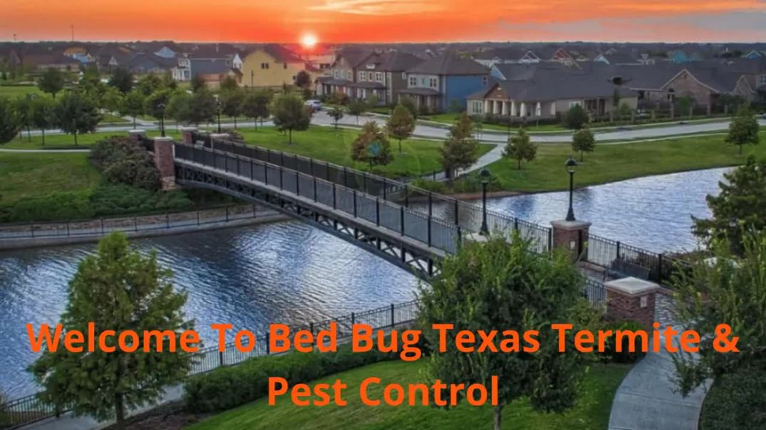 ⁣Bed Bug Texas Termite & Pest Control Company in Bridgeland