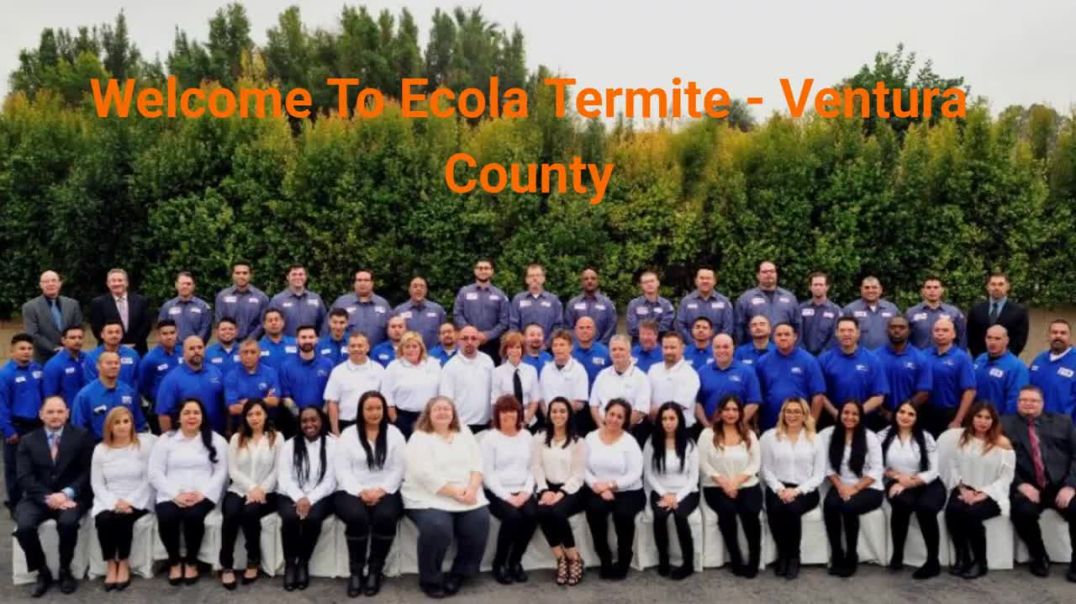 ⁣Ecola Termite - Affordable Pest Control in Oxnard, CA